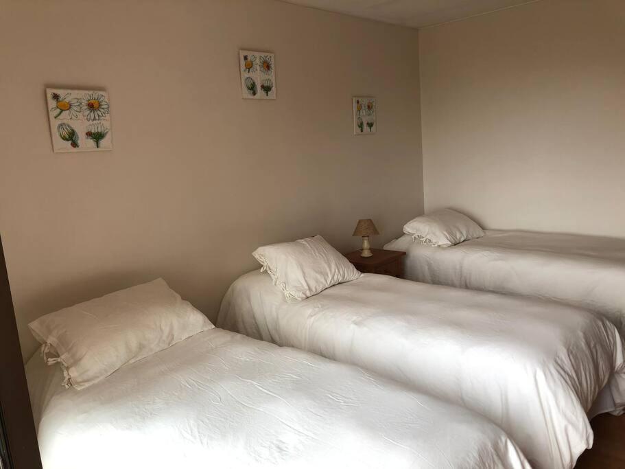 Apartamento Departamento Tacas *